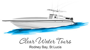 Clearwater Tours Company